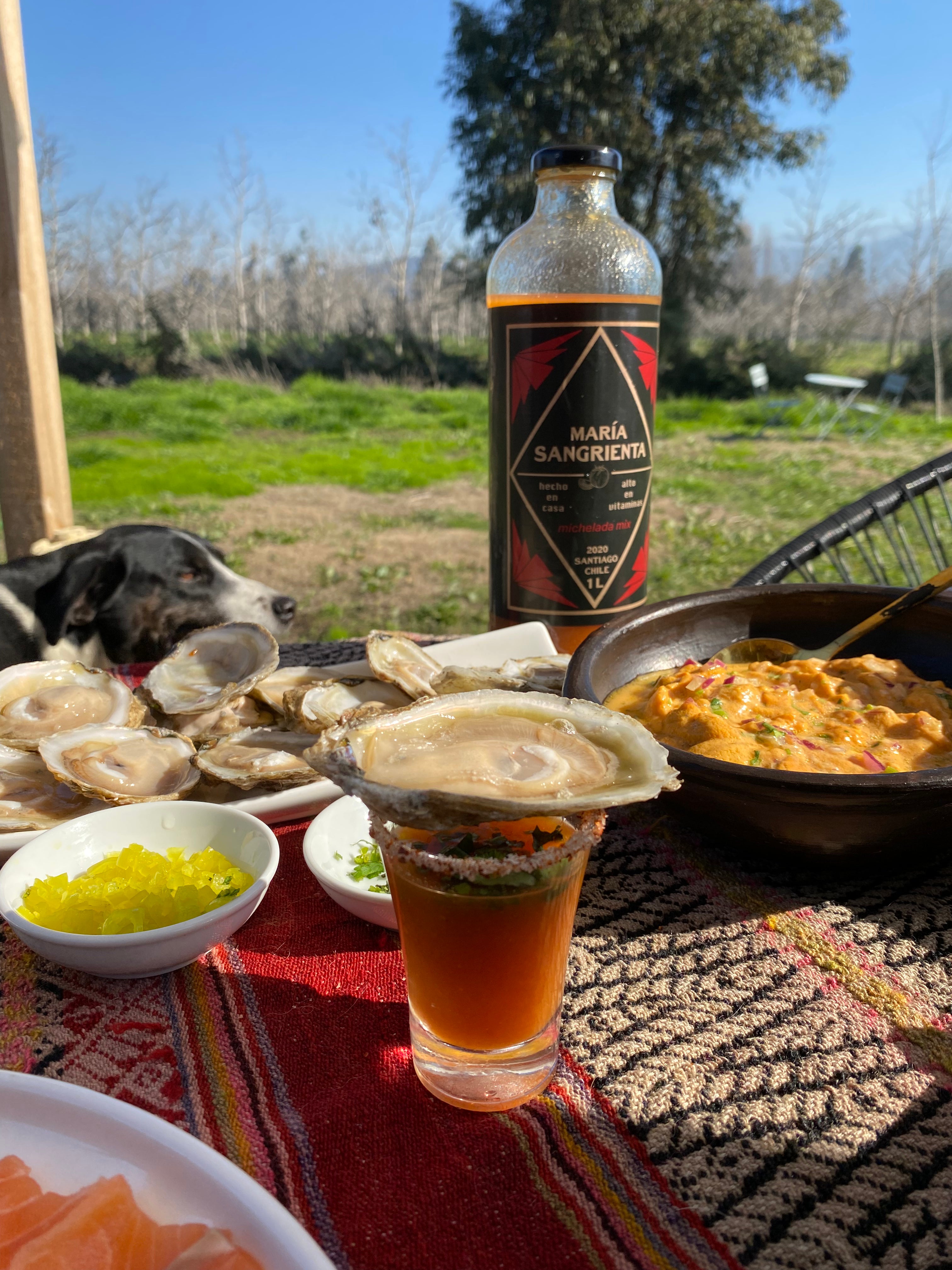 Mix Michelada María Sangrienta